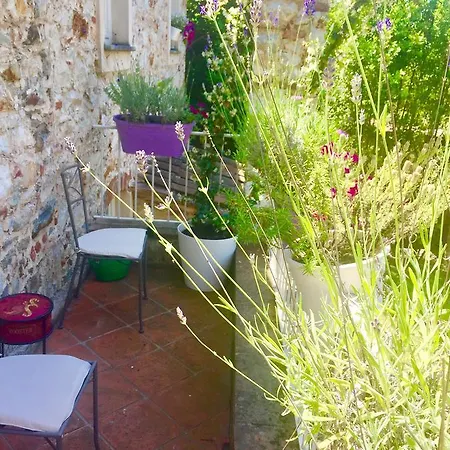 住宿加早餐酒店 Villa Pietrasanta