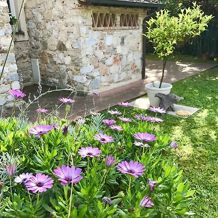 住宿加早餐酒店 Villa Pietrasanta